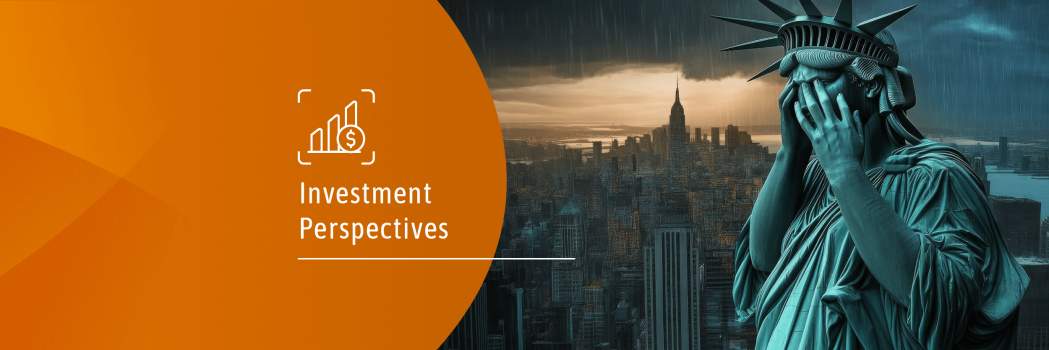 Investment Perspectives